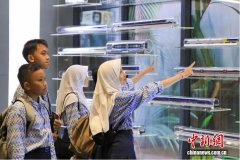 东西问丨印尼前外长哈桑：雅万高铁诠释中国式现代化的务实合作精神